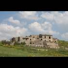 Cazzola - Foto di Carmem Augello.jpg
